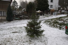 ADVENTNÍ NEDĚLE 2018 - foto