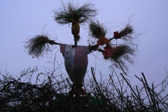carodky_2013_044