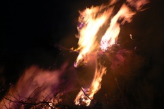 carodky_2013_058