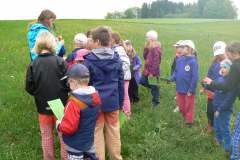 DĚTSKÝ DEN S PŘÍRODOU 20.5.2017