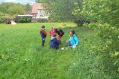 DĚTSKÝ DEN S PŘÍRODOU 20.5.2017