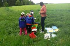 DĚTSKÝ DEN S PŘÍRODOU 20.5.2017