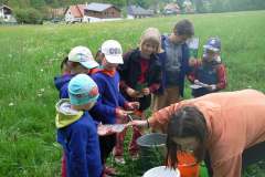 DĚTSKÝ DEN S PŘÍRODOU 20.5.2017