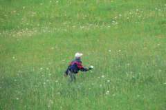DĚTSKÝ DEN S PŘÍRODOU 20.5.2017