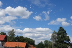 HASIČSKÁ PĚNOVÁ PÁRTY 11.srpna 2018