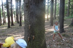 HASIČSKÁ PĚNOVÁ PÁRTY 11.srpna 2018