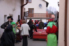 MASOPUST 14.2.2015