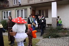 MASOPUST 2016