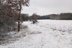POCHOD 2017