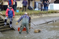VÝLOV SPODNÍHO RYBNÍKA 25.3.2016