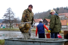 VÝLOV SPODNÍHO RYBNÍKA 25.3.2016