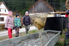 VÝLOV SPODNÍHO RYBNÍKA 25.3.2016