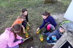 IMG-20210331-WA0005