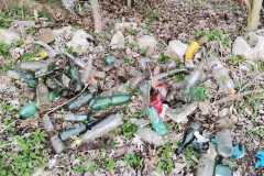 IMG-20210422-WA0004
