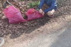 IMG-20210423-WA0004