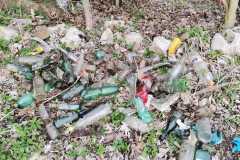 IMG-20210425-WA0009