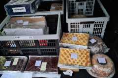 Babovky_Myslotin_2020_036