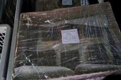 IMG-20201120-WA0013