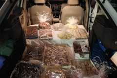 IMG-20201204-WA0003