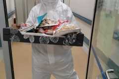IMG-20210219-WA0013