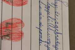 IMG-20210226-WA0007