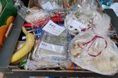 IMG-20210313-WA0001