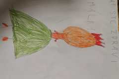 IMG-20210313-WA0006