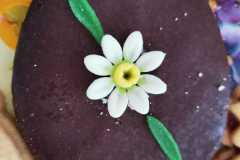 IMG-20210402-WA0006