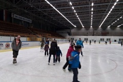 BRUSLENÍ 26.12.2016