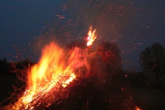 carodky_2013_056