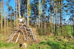 carodejnice_rozhledna_01