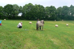 DEN DĚTÍ V MYSLOTÍNĚ 31.5.2014