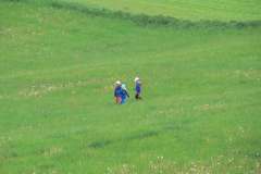 DĚTSKÝ DEN S PŘÍRODOU 20.5.2017