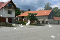 DĚTSKÝ DEN V MYSLOTÍNĚ V SOBOTU 2.ČERVNA 2018
