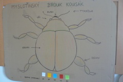 DĚTSKÝ DEN V MYSLOTÍNĚ V SOBOTU 2.ČERVNA 2018