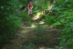 Dovednostní závody kol 2011
