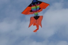 Drakiáda 2010