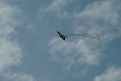 Drakiáda 2010