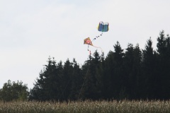 drak13_005