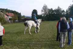 drak13_030