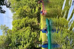 Dvory_Suchdol_2020_072