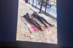 Indie_24_01_26_135