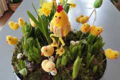 jar_flor_2025_21