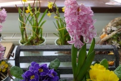 flora_14_03_20_08