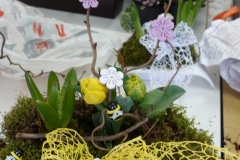 flora_14_03_20_21