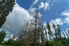 kola_06_2022_45