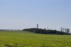 kola_6_2025_23