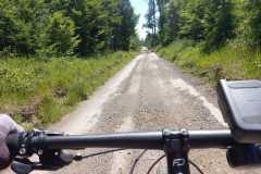 kola_6_2025_57