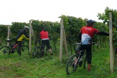 Jižní Morava Vrbice 9-2010