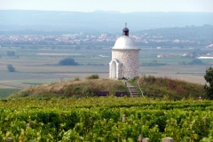 Jižní Morava Vrbice 9-2010